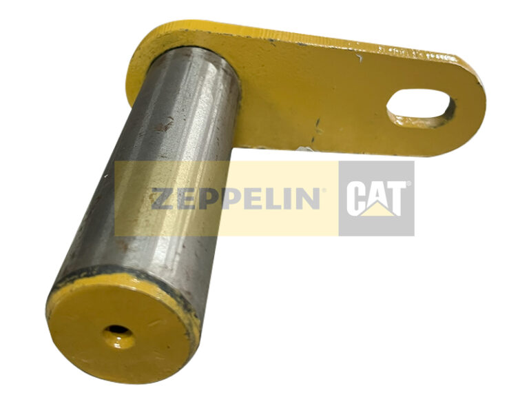 PIN AS-SEM – слайд